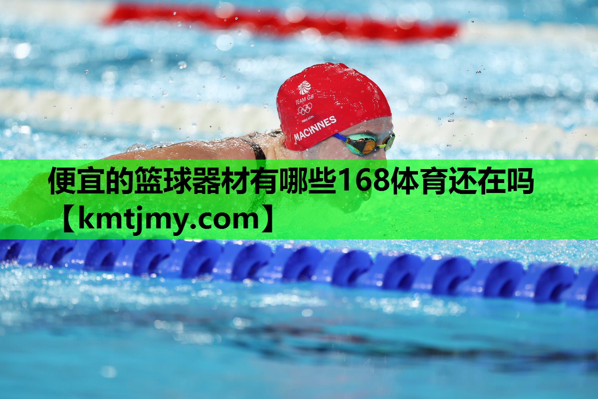 便宜的篮球器材有哪些168体育还在吗