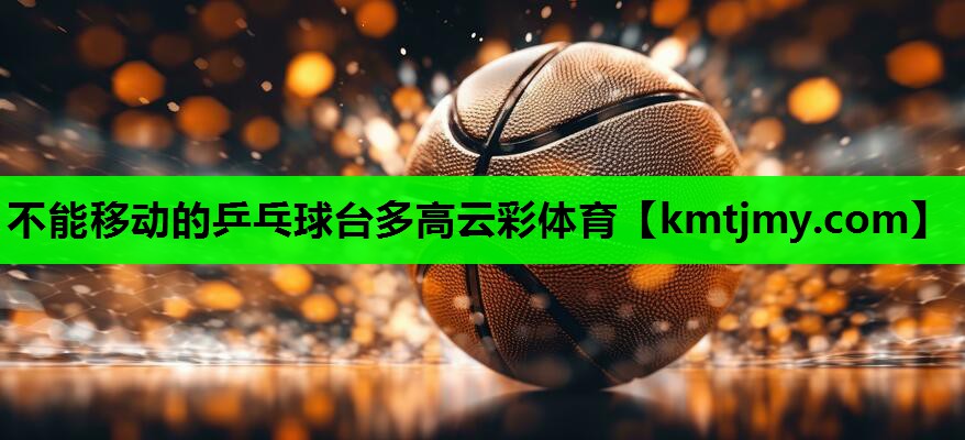 不能移动的乒乓球台多高云彩体育