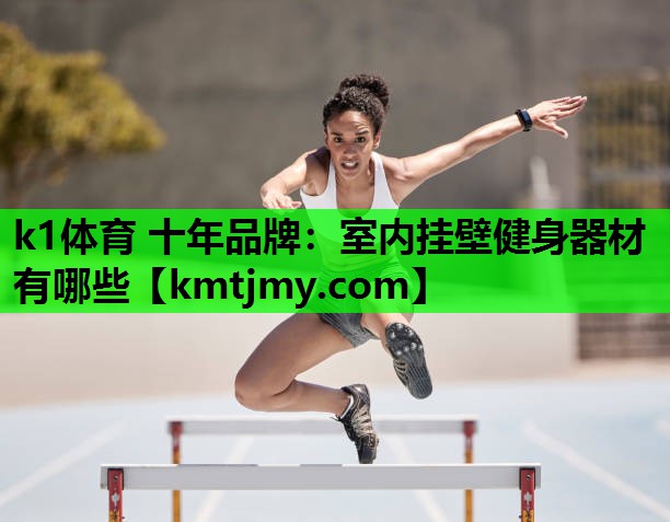 k1体育 十年品牌：室内挂壁健身器材有哪些