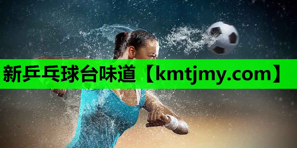 新乒乓球台味道